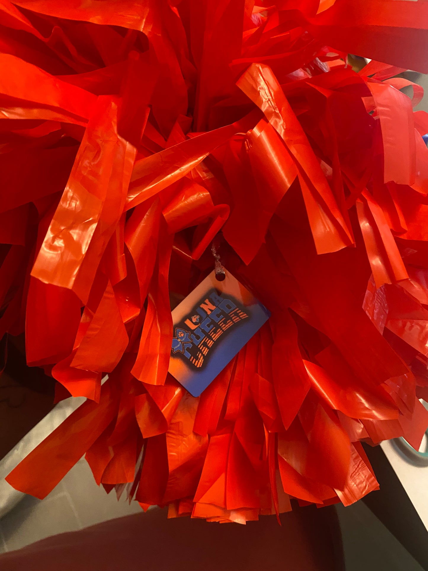 Custom Cheer Bag Tags & Custom Cheer Pom Tags